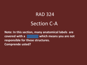 Section C-A RAD 324