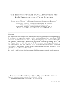 The Effects of Future Capital Investment and Christopher F Baum