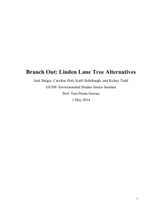 Branch Out: Linden Lane Tree Alternatives