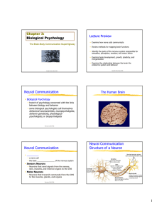 Chapter 3: Biological Psychology Lecture Preview