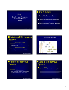 Unit 2 Unit 2 Outline Divisions of the Nervous System