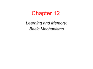 Chapter 12 Learning and Memory: Basic Mechanisms