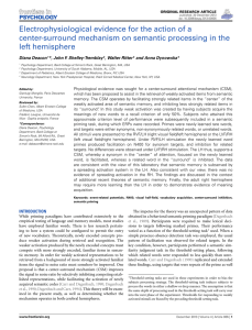 Electrophysiological evidence for the action of a