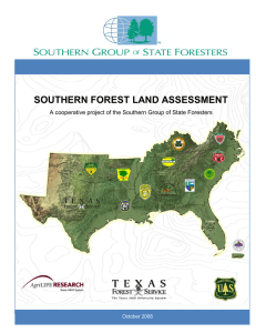 SOUTHERN FOREST LAND ASSESSMENT  October 2008