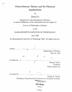 Chern-Simons  Theory  and Its  Physical Applications