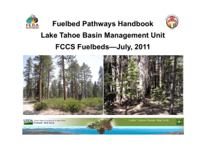 Fuelbed Pathways Handbook Lake Tahoe Basin Management Unit —July, 2011 FCCS Fuelbeds