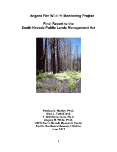 Angora Fire Wildlife Monitoring Project  Final Report to the