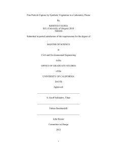 Fine Particle Capture by Synthetic Vegetation in a Laboratory Flume By