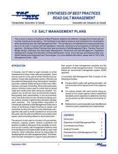 SYNTHESES OF BEST PRACTICES ROAD SALT MANAGEMENT 1.0  SALT MANAGEMENT PLANS