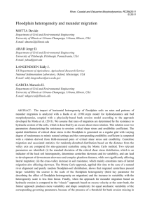 Floodplain heterogeneity and meander migration MOTTA Davide