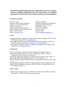 Natural and anthropogenic threats to white pines from lower montane