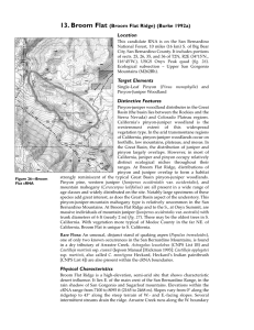 13. Broom Flat (Broom Flat Ridge) (Burke 1992a) Location