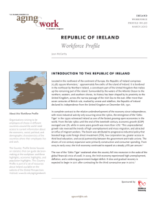 republic	of	ireland Workforce Profile introduction	to	the	republic	of	ireland