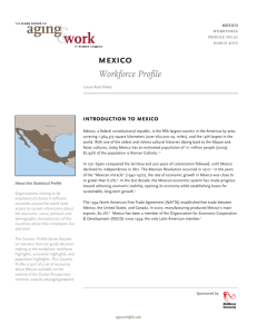 mexico Workforce Profile introduction	to	mexico
