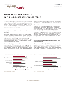racial and ethnic diversity in the u.s. older adult labor force