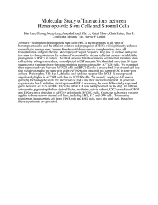 Molecular Study of Interactions between Hematopoietic Stem Cells and Stromal Cells