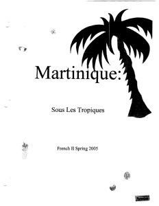 MartinI ue: Les Tropiques SOUS