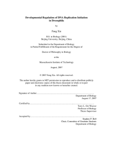Developmental Regulation of DNA Replication Initiation in Drosophila Fang Xie