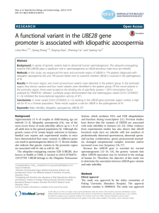 A functional variant in the UBE2B gene Open Access