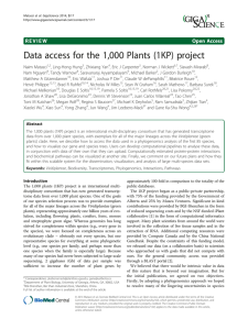 Data access for the 1,000 Plants (1KP) project Open Access
