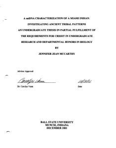 A mtDNA CHARACTERIZATION OF A MIAMI INDIAN: INVESTIGATING ANCIENT TRIBAL PATTERNS