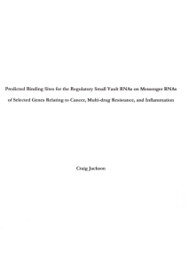 Predicted Binding Sites for the Regulatory Small Vault RNAs on... of Selected Genes Relating to Cancer, Multi-drug Resistance, and Inflammation