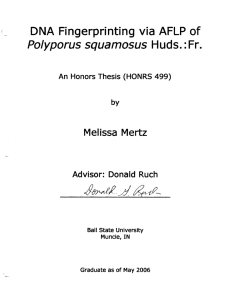 Huds.: Polyporus squamosus DNA  Fingerprinting via AFLP  of Fr.