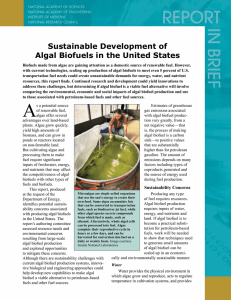 Biofuels made from algae are gaining attention as a domestic... with current technologies, scaling up production of algal biofuels to...