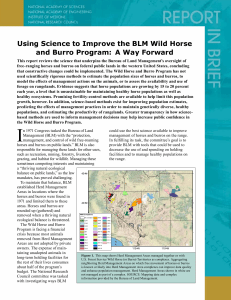 Using Science to Improve the BLM Wild Horse