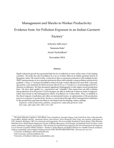 Management and Shocks to Worker Productivity: