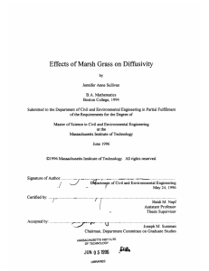 Effects  of Marsh Grass on  Diffusivity