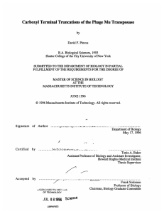 Carboxyl Terminal Truncations of the Phage Mu Transposase