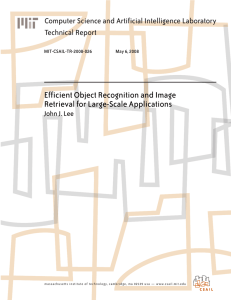Efficient Object Recognition and Image Retrieval for Large-Scale Applications Technical Report