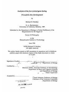 by the four-jointed Drosophila