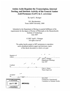 Amino  Acids  Regulate  the Transcription, Internal