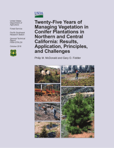 Twenty-Five Years of Managing Vegetation in Conifer Plantations in Northern and Central