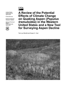 A Review of the Potential Effects of Climate Change Populus tremuloides