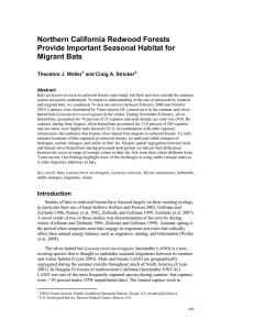 Northern California Redwood Forests Provide Important Seasonal Habitat for Migrant Bats
