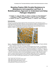 Breeding Poplars With Durable Resistance to Pathogen Adaptation Melampsora larici-populina