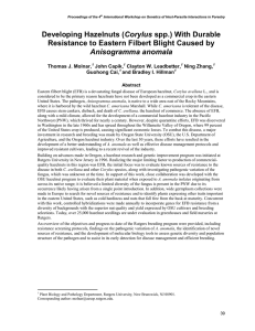 Corylus Resistance to Eastern Filbert Blight Caused by Anisogramma anomala Thomas J. Molnar,