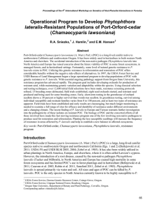 Phytophthora Chamaecyparis lawsoniana lateralis- R.A. Sniezko,