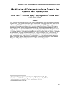 Identification of Pathogen Avirulence Genes in the Fusiform Rust Pathosystem