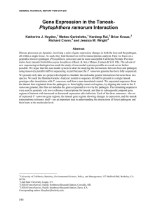 Gene Expression in the Tanoak- Phytophthora ramorum  Katherine J. Hayden,
