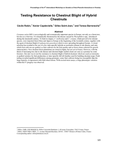 Testing Resistance to Chestnut Blight of Hybrid Chestnuts Cécile Robin,