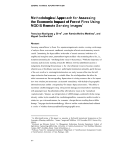 Methodological Approach for Assessing the Economic Impact of Forest Fires Using