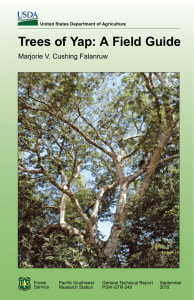 Trees of Yap: A Field Guide Marjorie V. Cushing Falanruw Forest