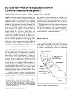 Blue and Valley Oak Seedling Establishment on California's Hardwood Rangelands 1