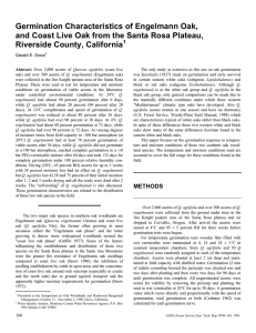Germination Characteristics of Engelmann Oak, Riverside County, California