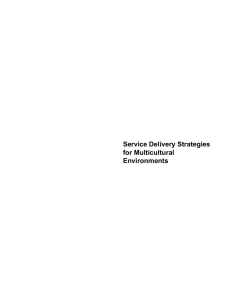 Service Delivery Strategies for Multicultural Environments
