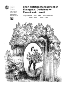 Short-Rotation Management of Plantations in Hawaii Eucalyptus: Craig D. Whitesell